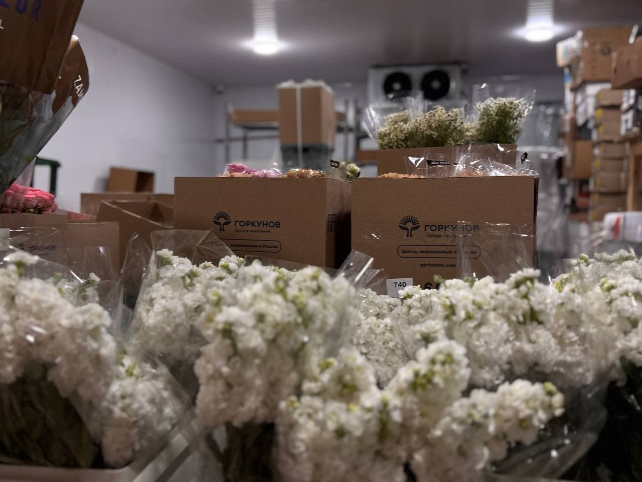 Свежие цветы в холодильной камере Moon Flowers